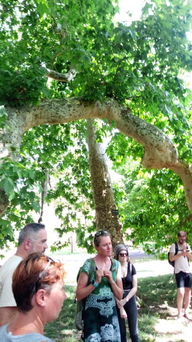 IMG 20190717 154536 6